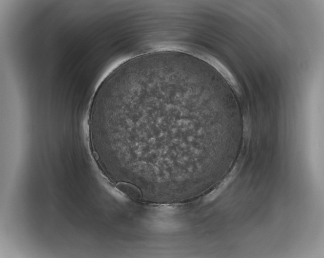 X0000115400814200911101511