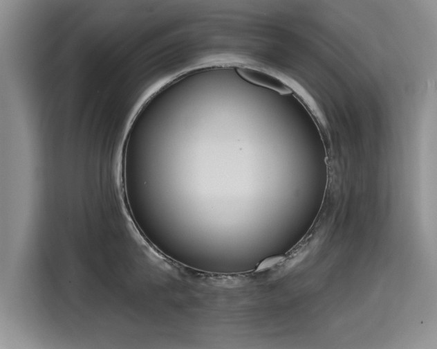 X0000115400815200911101511