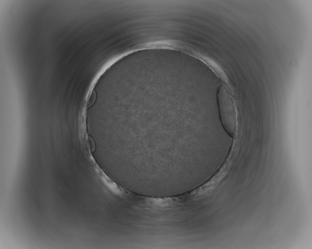 X0000115400816200911101511