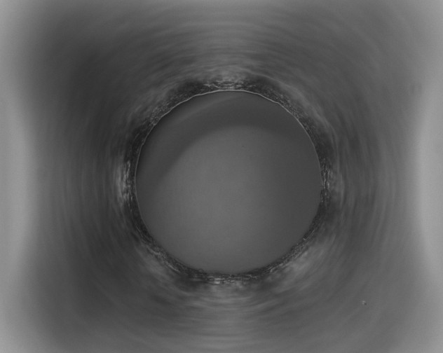 X0000115400818200911101510