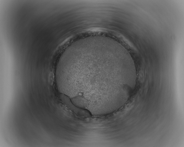 X0000115400821200911101510