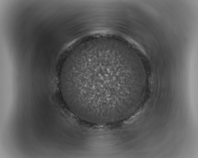 X0000115400822200911101510