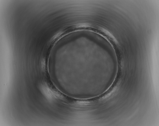 X0000115400825200911101510