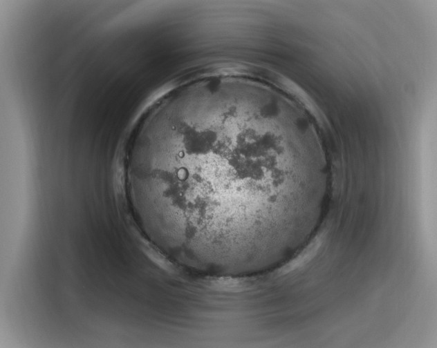 X0000115400827200911101510