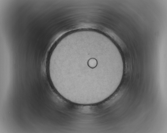 X0000115400828200911101510