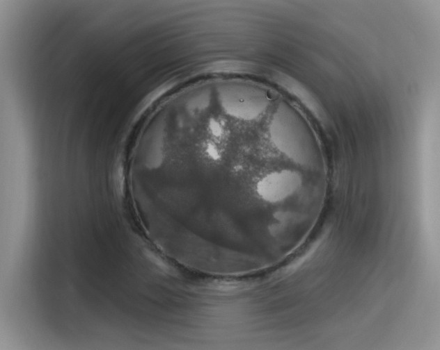 X0000115400829200911101510