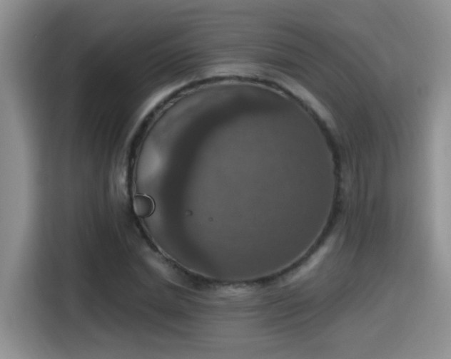 X0000115400830200911101510