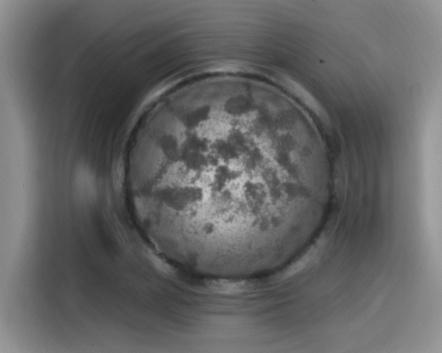 X0000115400831200911101510