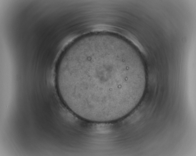 X0000115400832200911101510
