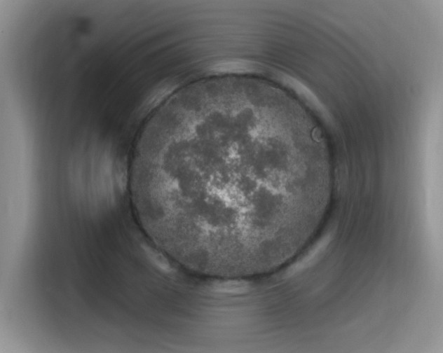 X0000115400833200911101510