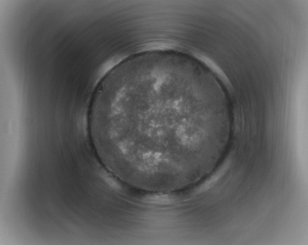 X0000115400834200911101510