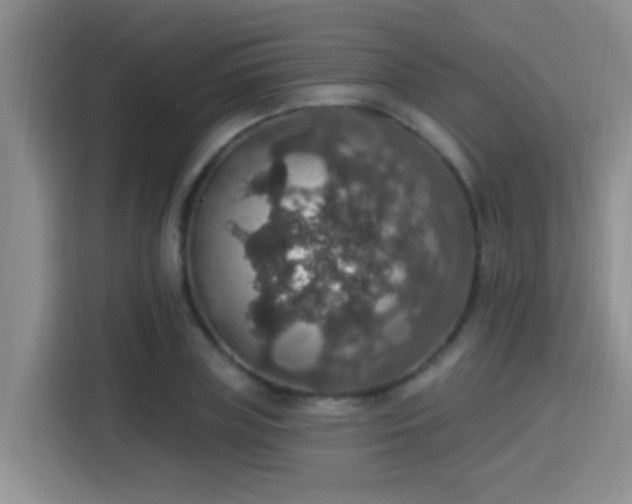 X0000115400835200911101510