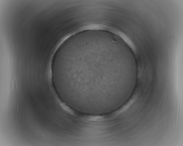 X0000115400837200911101510