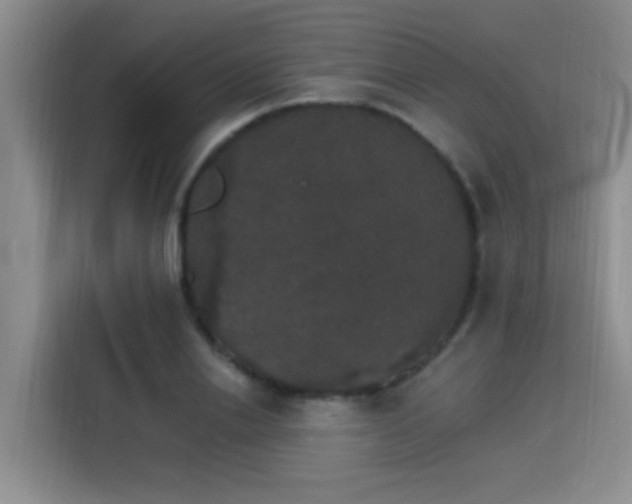 X0000115400838200911101510