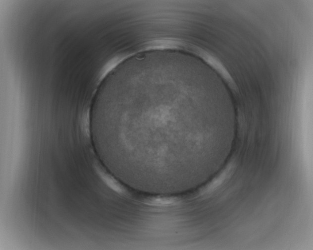 X0000115400842200911101511