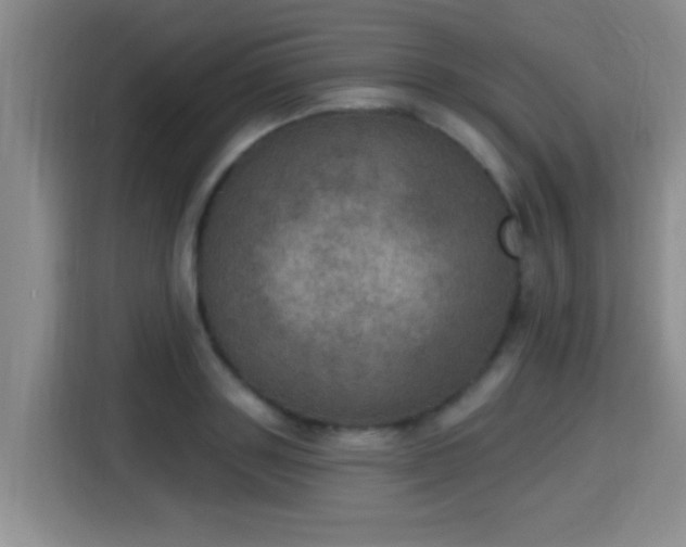 X0000115400843200911101511