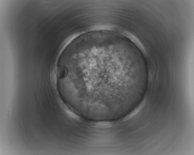 X0000115400844200911101511
