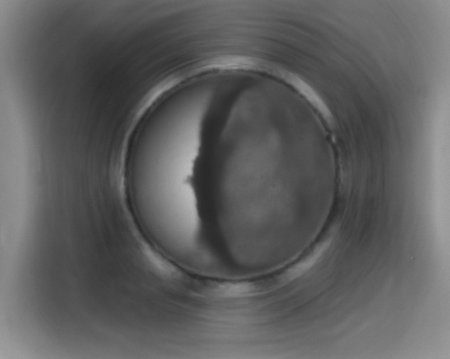 X0000115400845200911101511