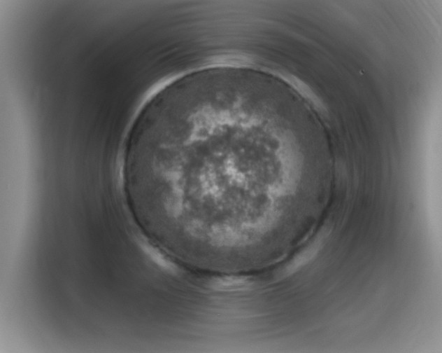 X0000115400846200911101511