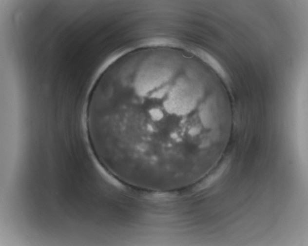 X0000115400847200911101511