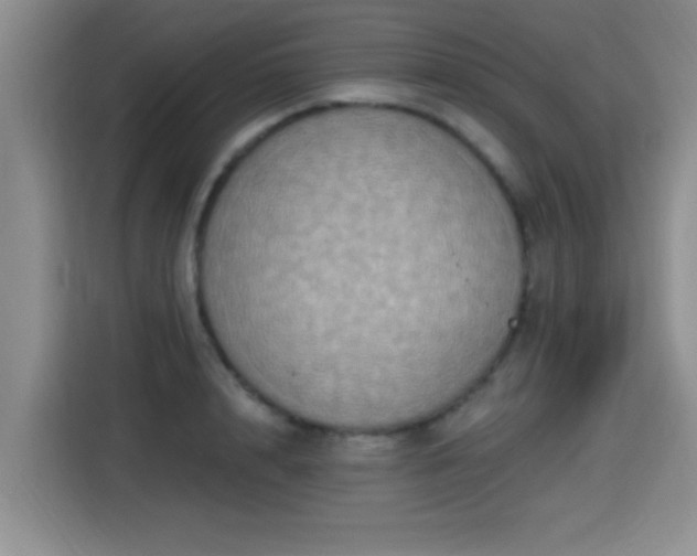 X0000115400848200911101511