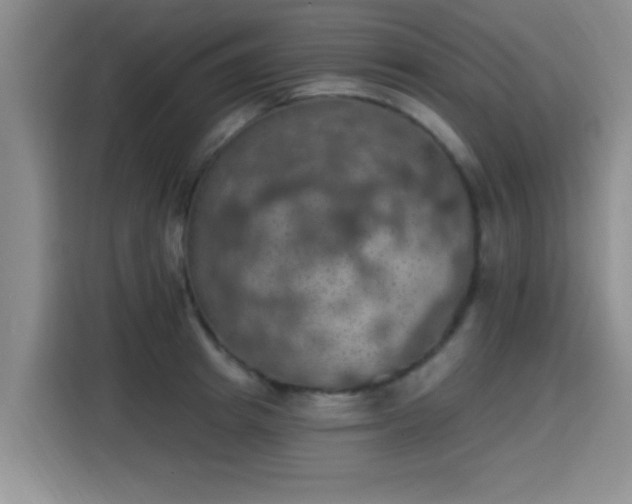 X0000115400849200911101511