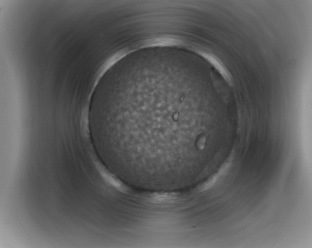 X0000115400850200911101511