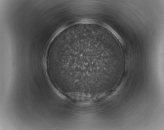 X0000115400853200911101511