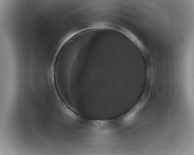 X0000115400854200911101511