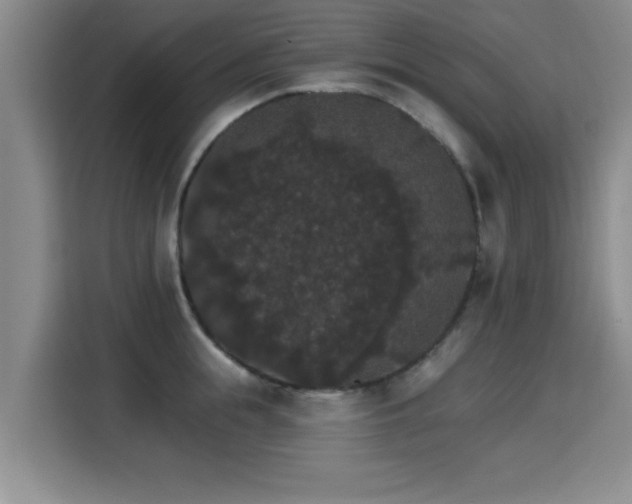 X0000115400855200911101511