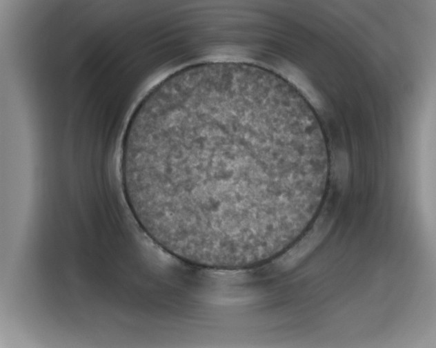 X0000115400856200911101511