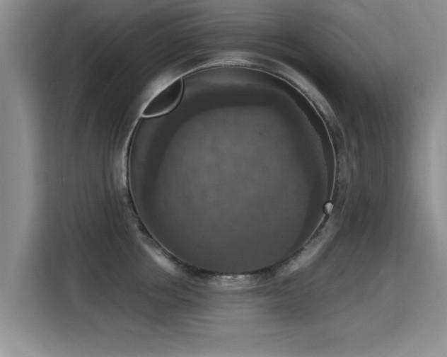 X0000115400858200911101511