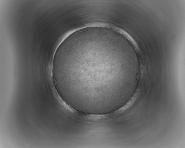 X0000115400860200911101511