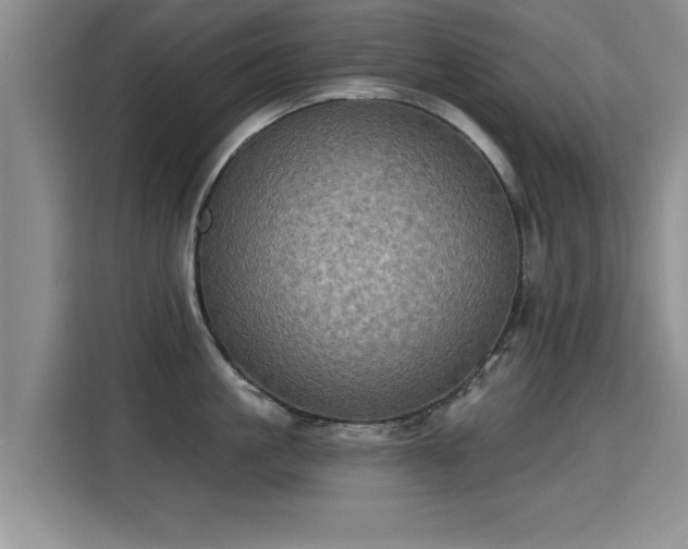 X0000115400861200911101511