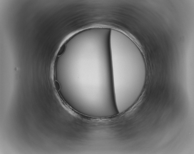 X0000115400862200911101511