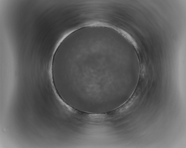 X0000115400863200911101511