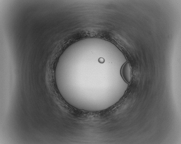 X0000115400865200911101510