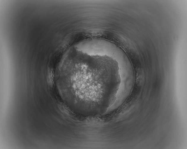 X0000115400866200911101510