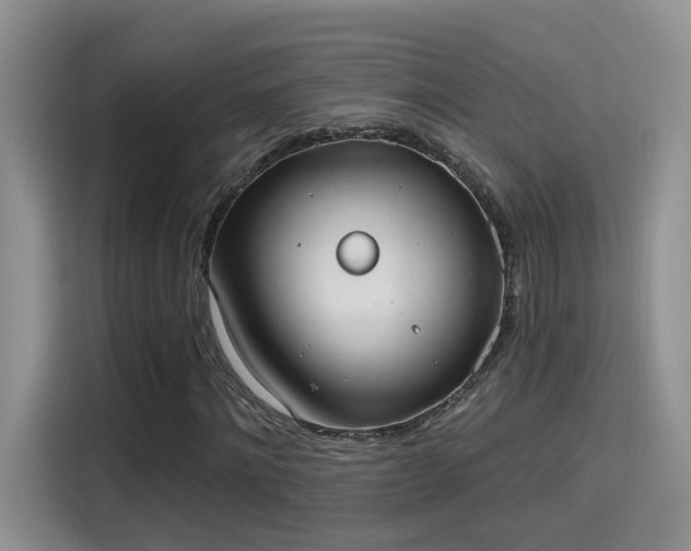X0000115400868200911101510