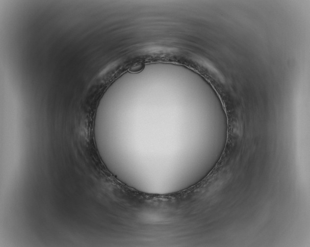 X0000115400869200911101510