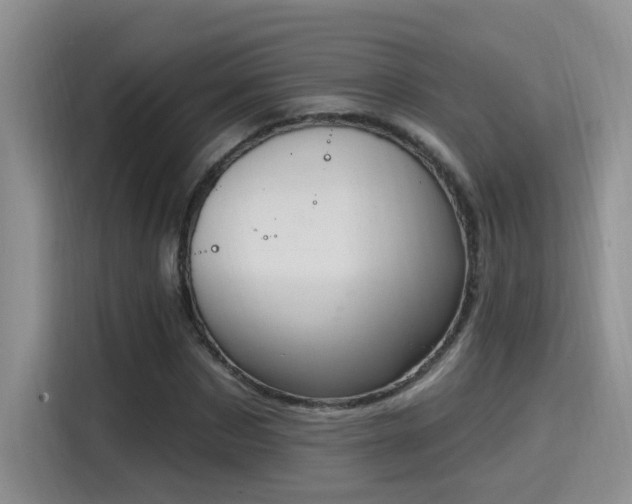X0000115400873200911101510