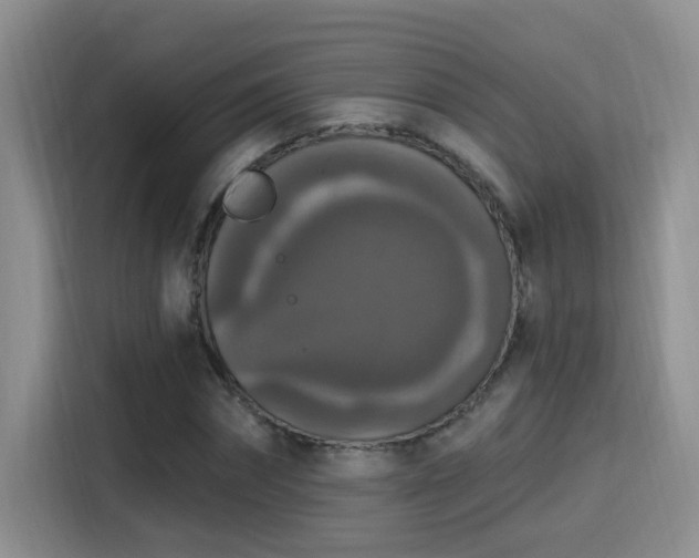 X0000115400874200911101510