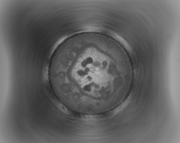 X0000115400875200911101510