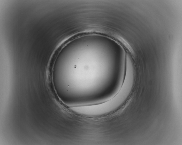 X0000115400876200911101510