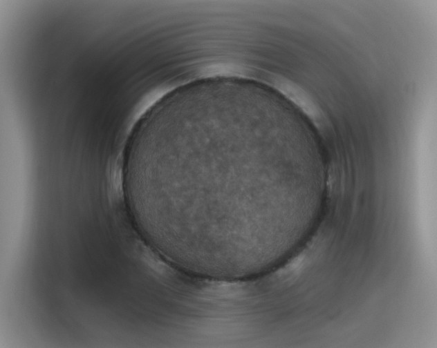 X0000115400877200911101510