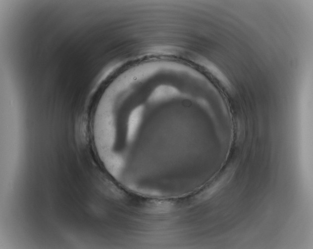 X0000115400878200911101510