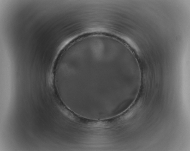 X0000115400879200911101510