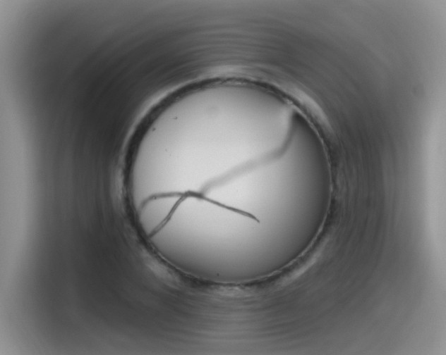 X0000115400880200911101510