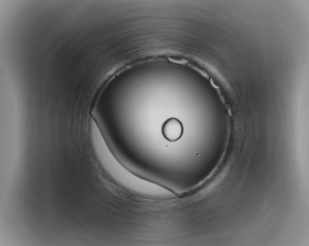 X0000115400881200911101510