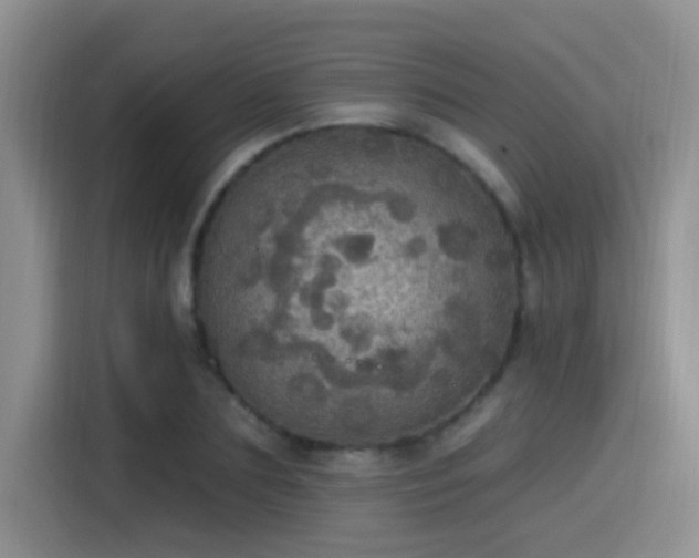 X0000115400883200911101510